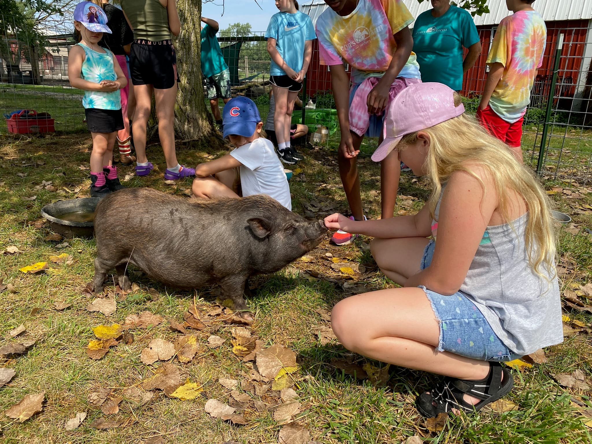 Erin's Farm