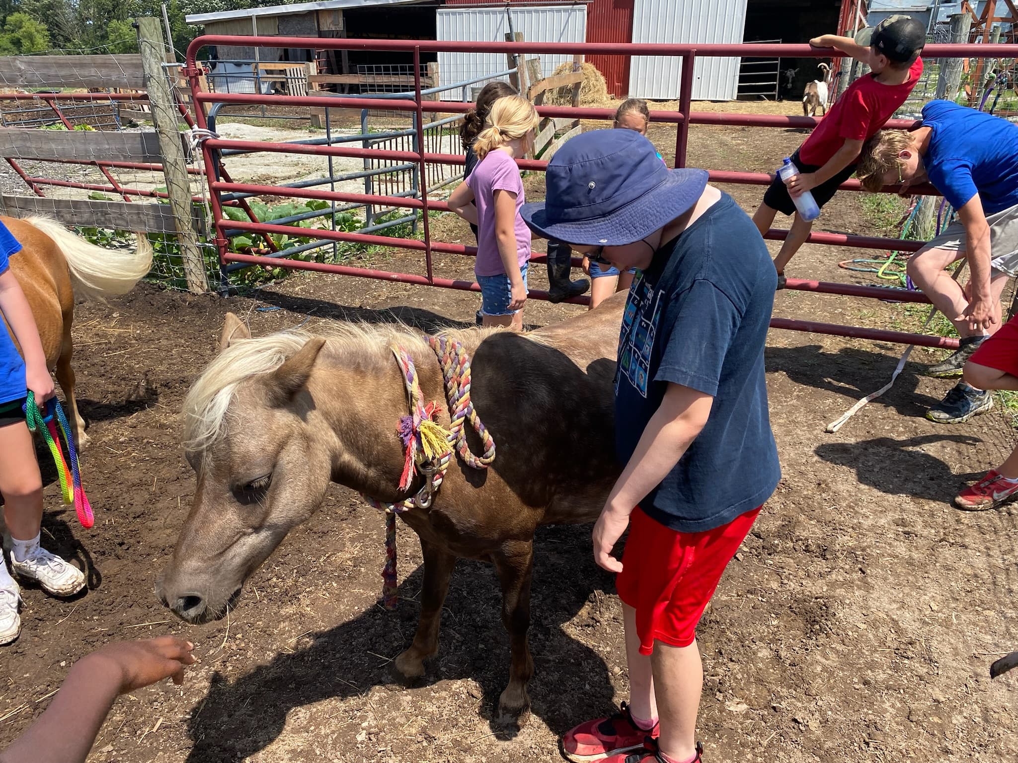 Erin's Farm