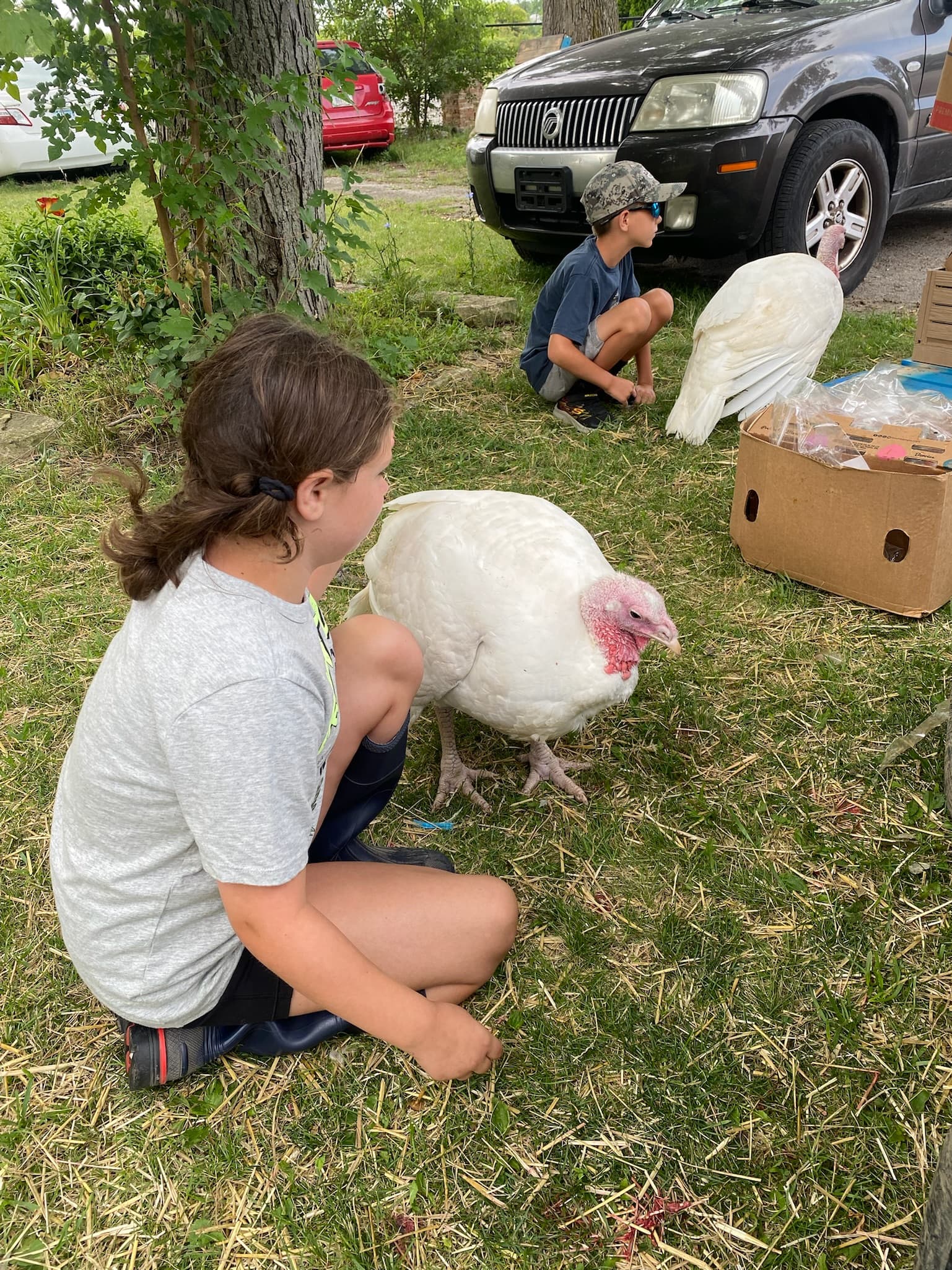Erin's Farm