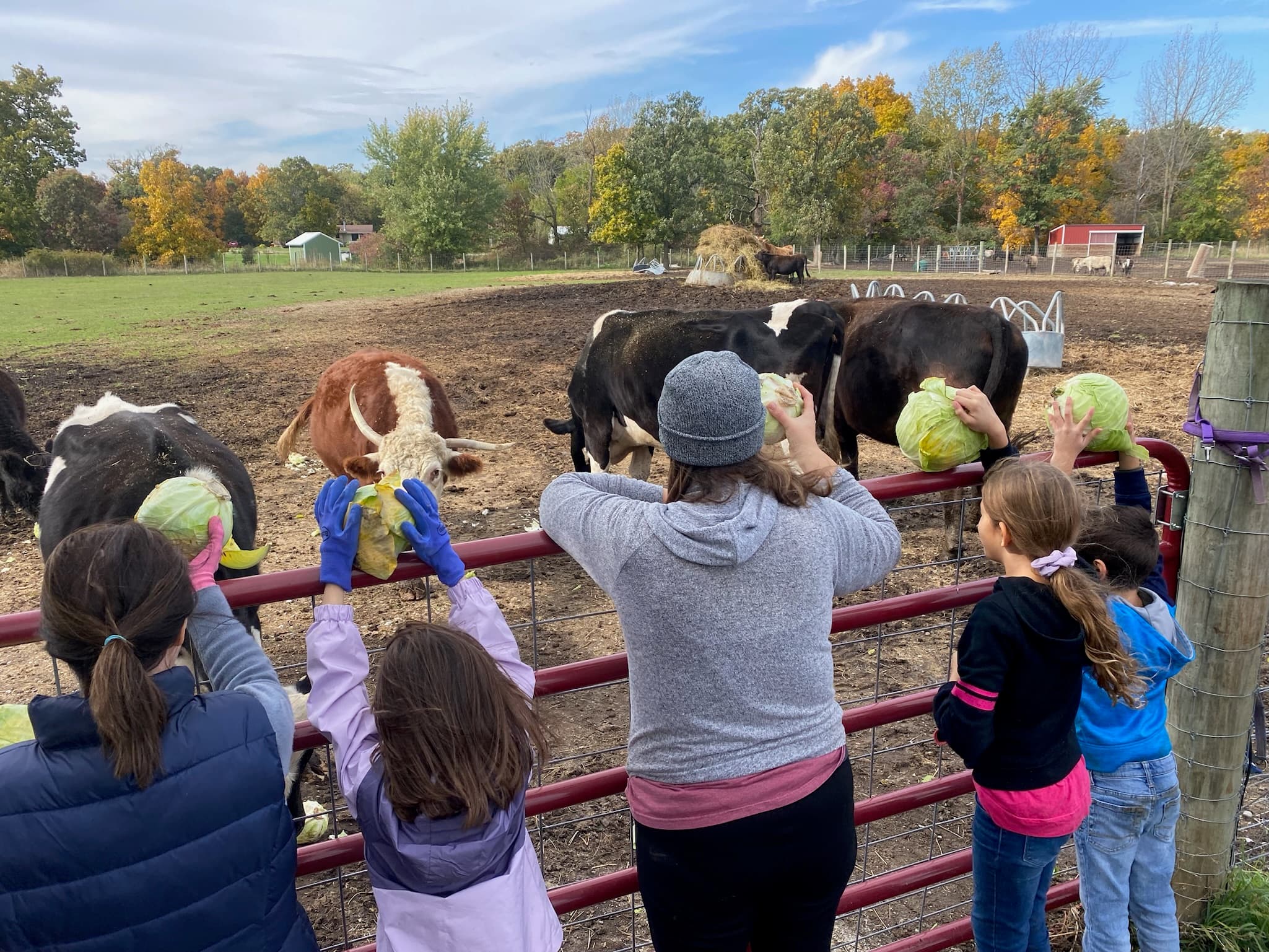Kids at Erin's Farm